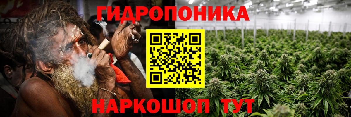 Бошки Шишки THC 21%  Вход с VPN  Конопля планчик  Вольск 